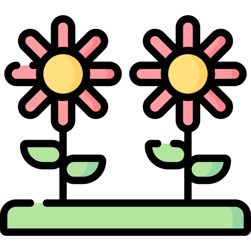 Flower Special Lineal color icon