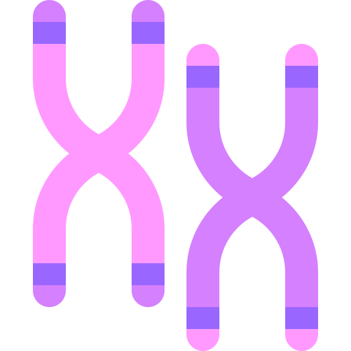 Хромосома Basic Sheer Flat иконка