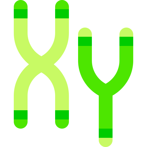 染色体 Basic Sheer Flat icon