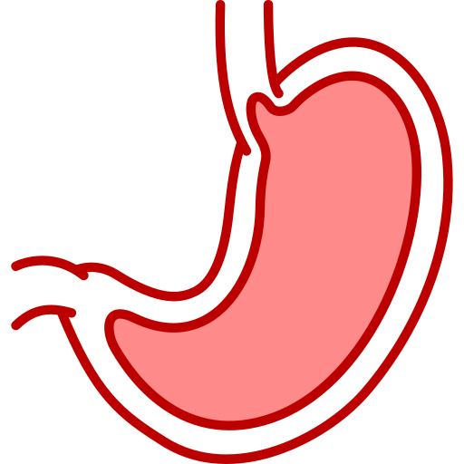 estomac Generic Fill & Lineal Icône