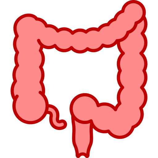 intestini Generic Fill & Lineal icona