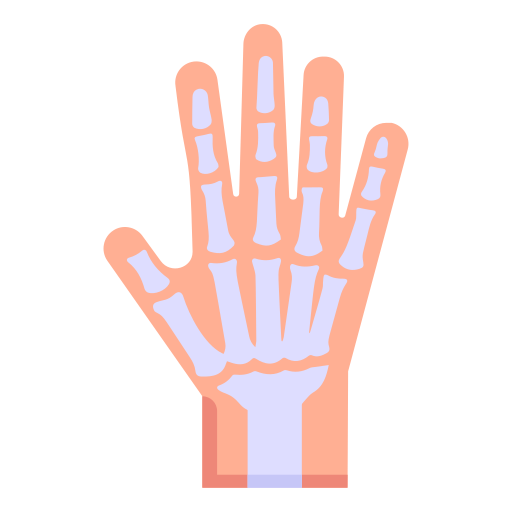 ossa della mano Generic Flat icona
