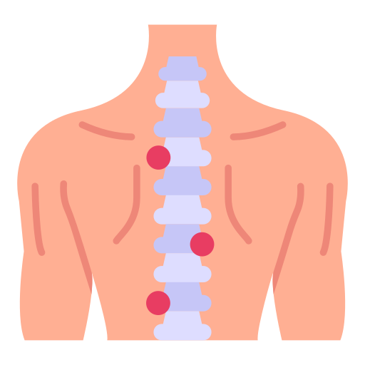 Spinal cord Generic Flat icon