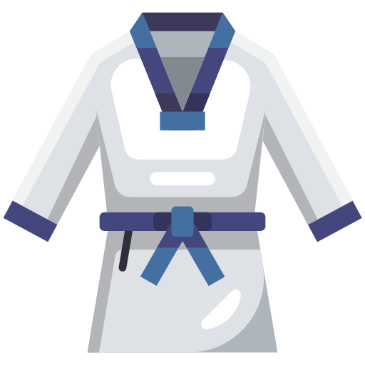 taekwondo Generic Flat Icône