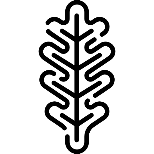 オークの葉 Special Lineal icon