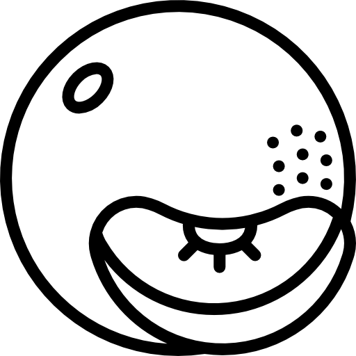 naranja Basic Miscellany Lineal icono