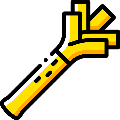 Leek Basic Miscellany Yellow icon