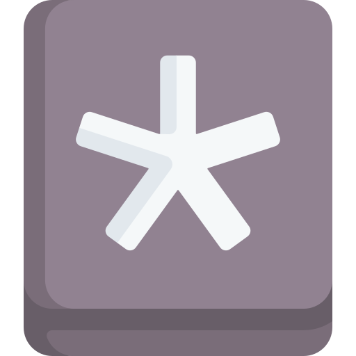 별표 Special Flat icon