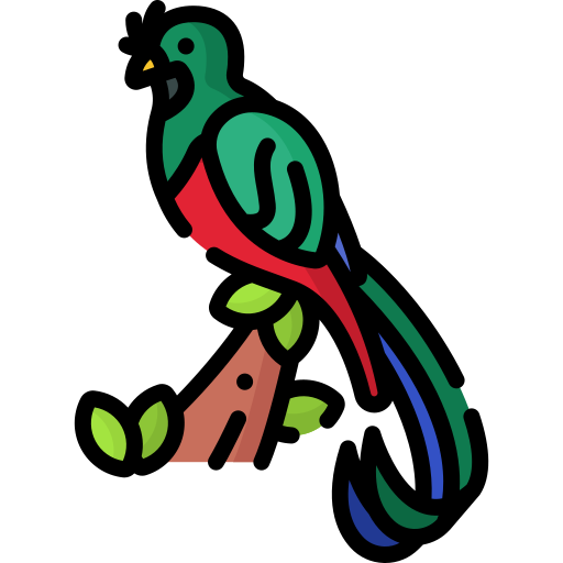 quetzal splendente Special Lineal color icona
