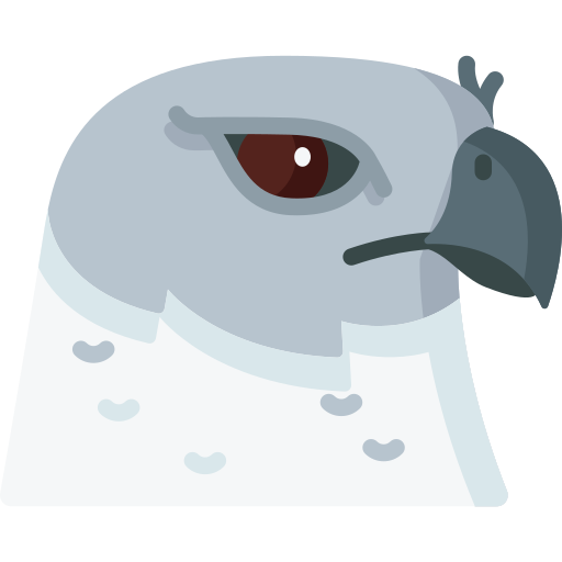 Harpy eagle Special Flat icon