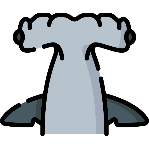 Shark Special Lineal color icon