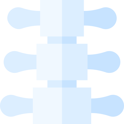 columna vertebral Basic Straight Flat icono