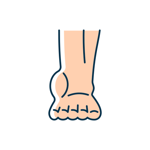 Ankle Generic Thin Outline Color icon