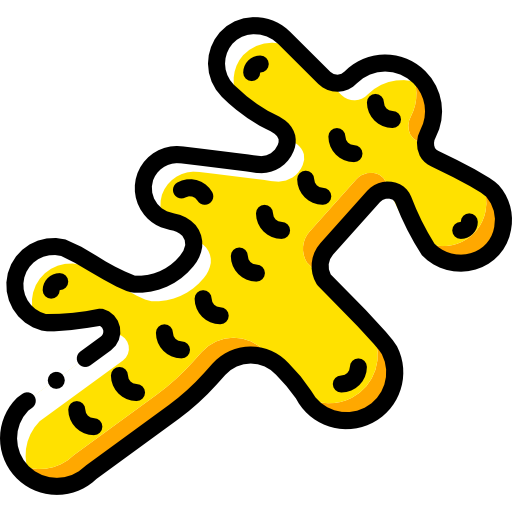 zenzero Basic Miscellany Yellow icona
