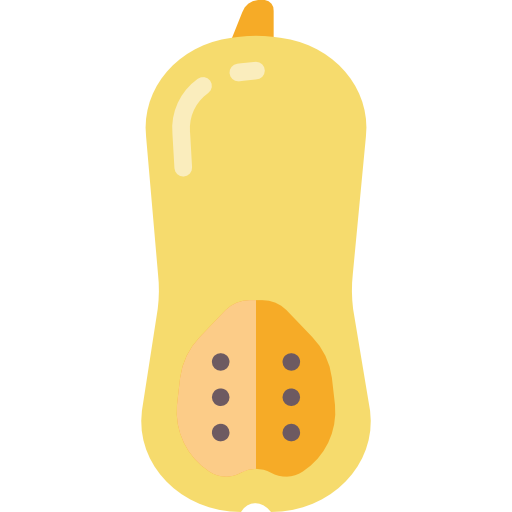 Butternut squash Basic Miscellany Flat icon