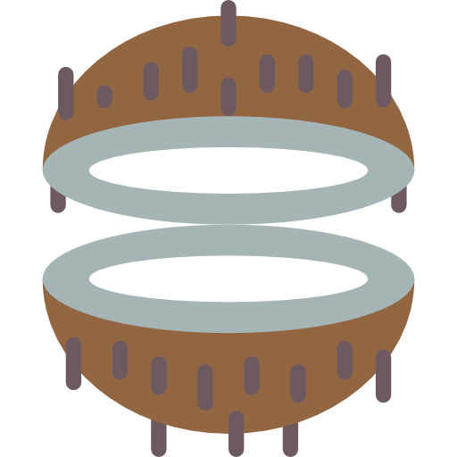 Coconut Basic Miscellany Flat icon