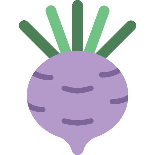 Turnip Basic Miscellany Flat icon
