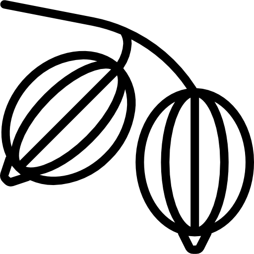 grosella Basic Miscellany Lineal icono