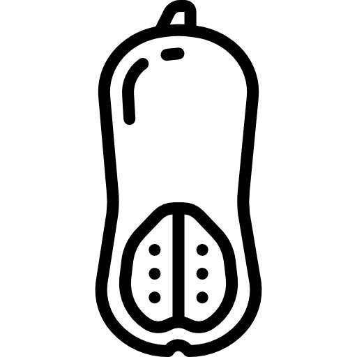 calabaza Basic Miscellany Lineal icono