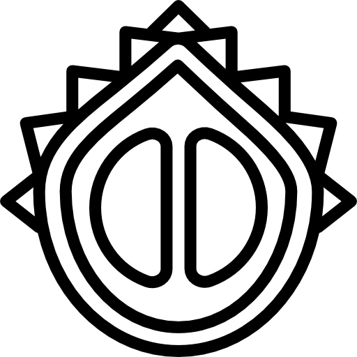 caqui Basic Miscellany Lineal icono