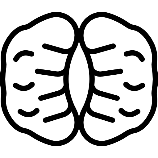 orzech Basic Miscellany Lineal ikona