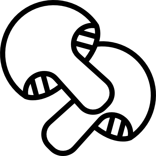 seta Basic Miscellany Lineal icono