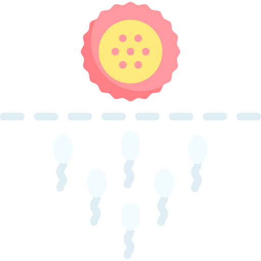 Contraceptive methods Special Flat icon