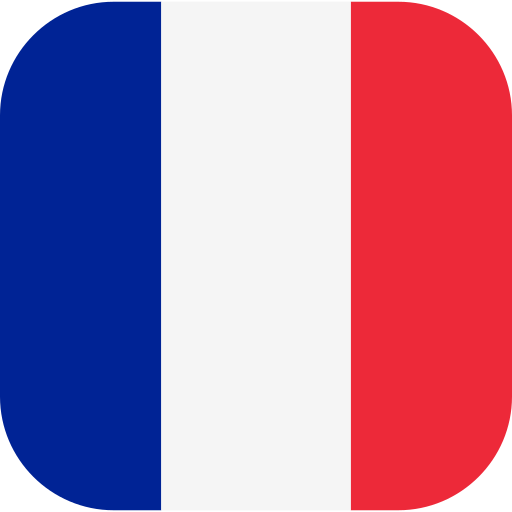 France Generic Flat icon