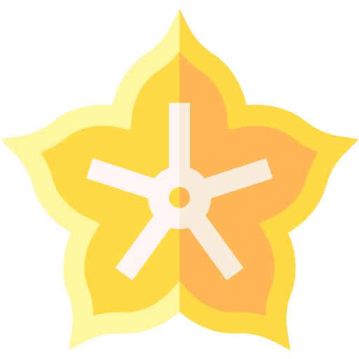 stella di frutta Basic Straight Flat icona