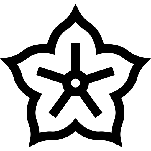 stervrucht Basic Straight Lineal icoon