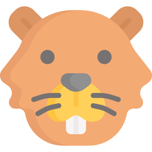 Beaver Special Flat icon