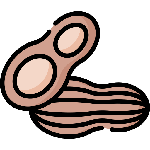 ピーナッツ Special Lineal color icon