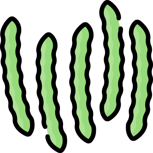 Green beans Special Lineal color icon