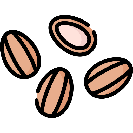 Almonds Special Lineal color icon