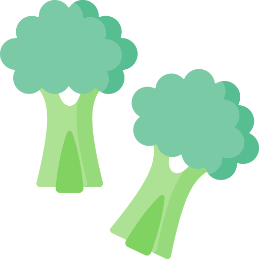 brócoli Special Flat icono