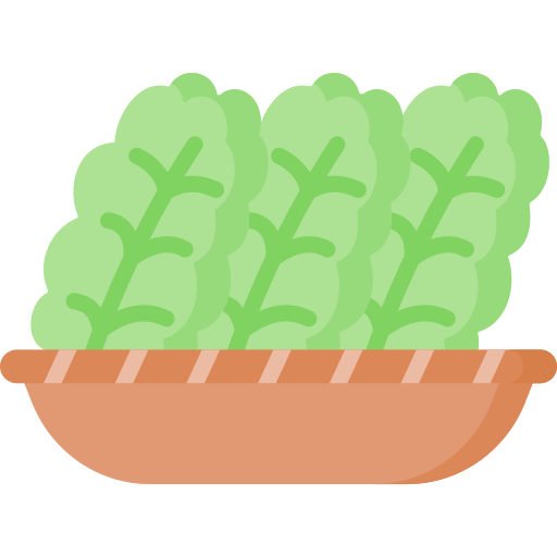 Kale Special Flat icon