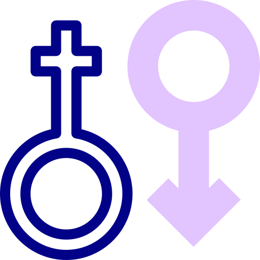 Gender Detailed Mixed Lineal color icon