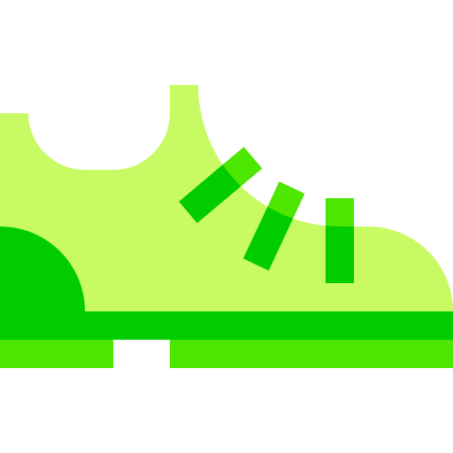 Shoes Basic Sheer Flat icon