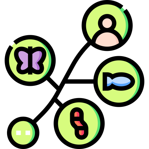 진화 Detailed Straight Lineal color icon