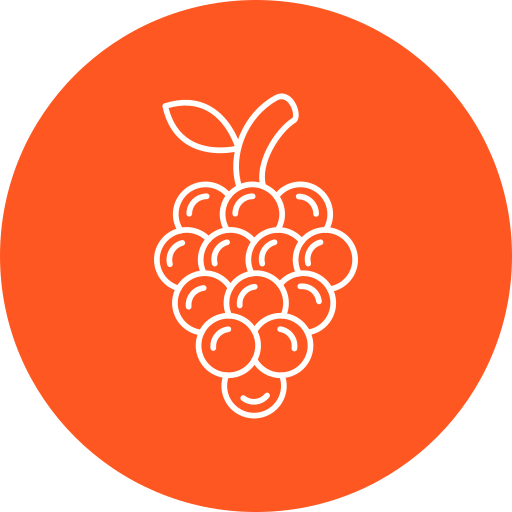 druiven Generic Circular icoon
