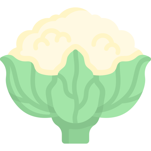 Cauliflower Special Flat icon