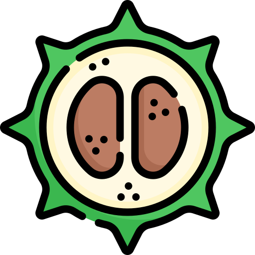 Chestnut Special Lineal color icon