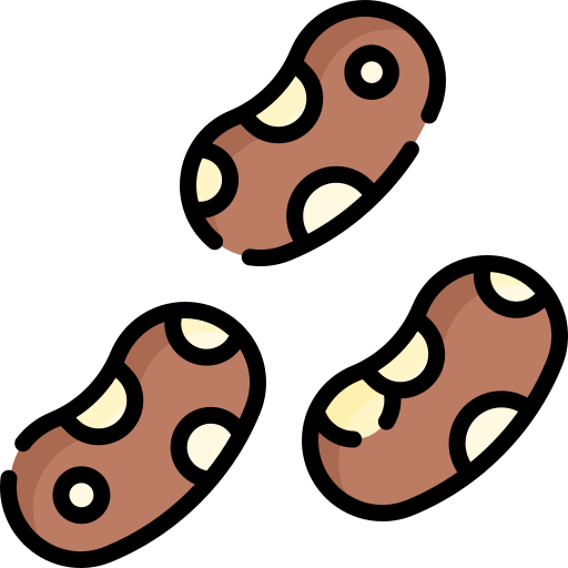 Beans Special Lineal color icon