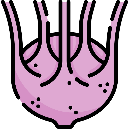 Kohlrabi Special Lineal color icon