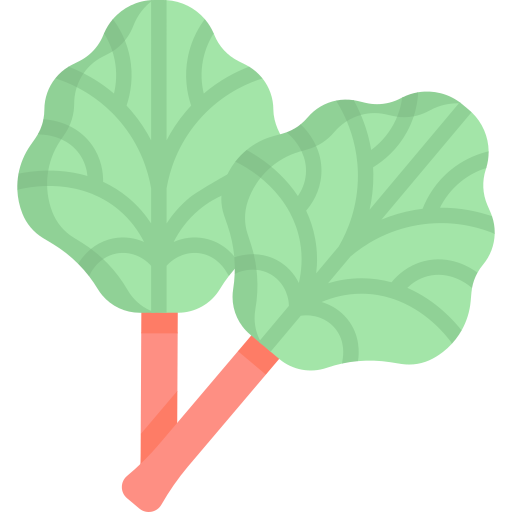 Rhubarb Special Flat icon