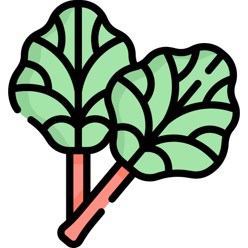 Rhubarb Special Lineal color icon