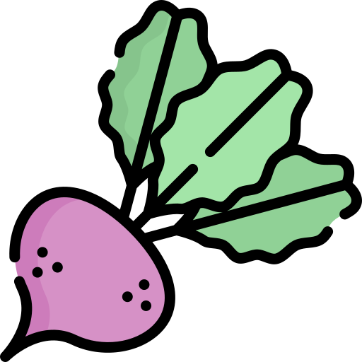 Beet Special Lineal color icon