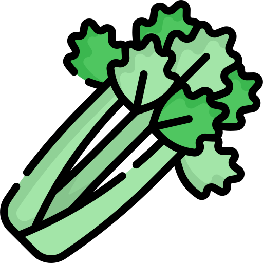 Celery Special Lineal color icon