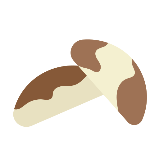 Brazil nuts Generic Flat icon