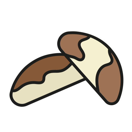 Brazil nuts Generic Outline Color icon